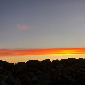 Meet your Posher, Ella